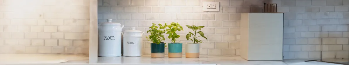 Grundausstattung für den Indoor-Garten